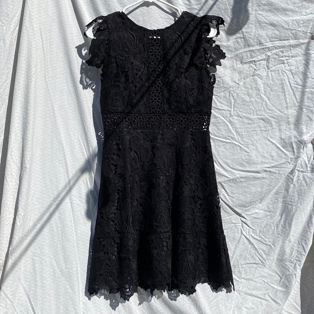 Black lace BB Dakota cocktail dress